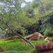 Mount Costa blends forest therapy with main-character energy