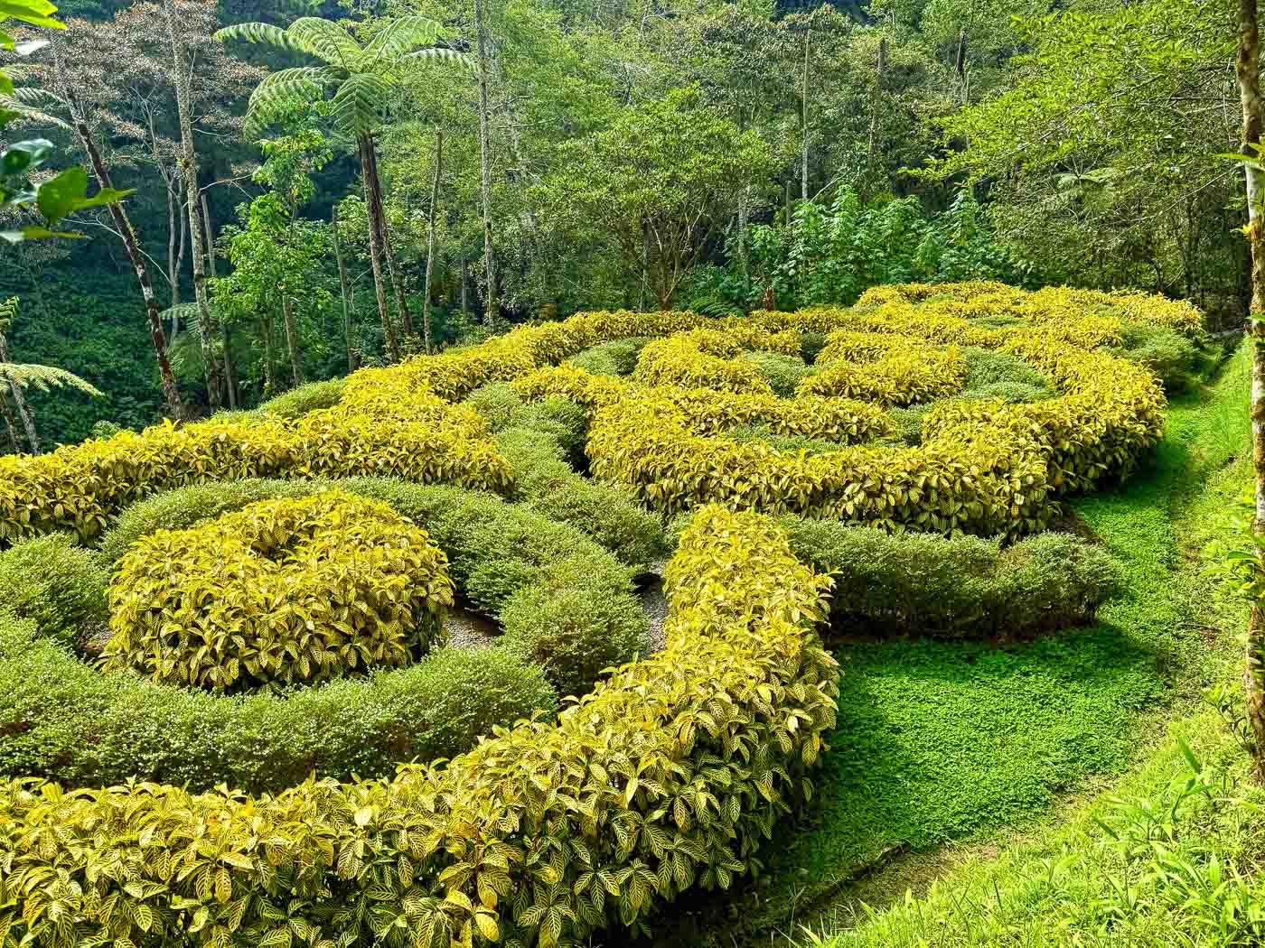 Mount Costa Baguio