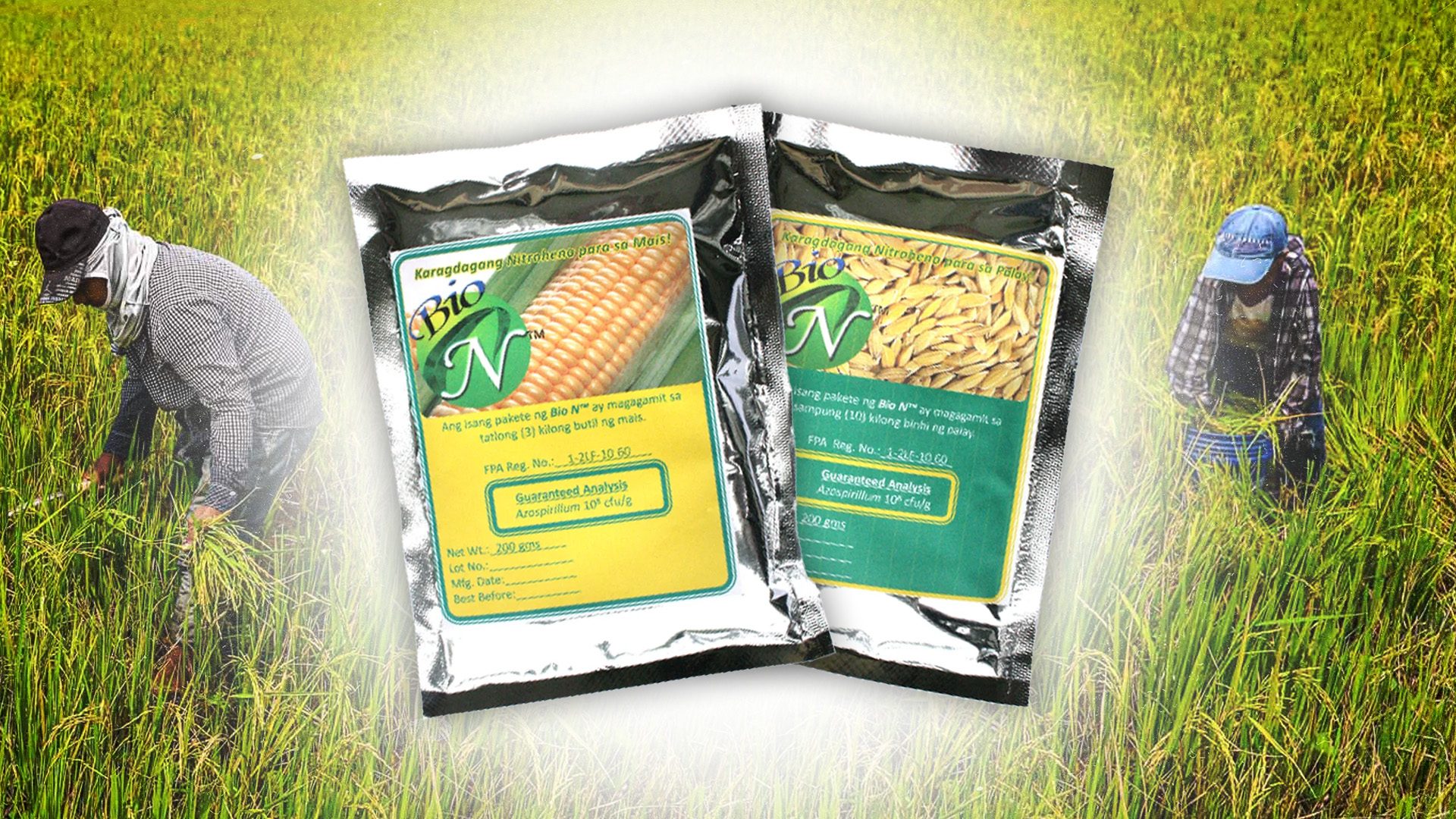 Filipino scientists developed this biofertilizer. The problem was scaling it.