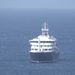 What is the hantavirus that killed 3 cruise ship passengers?
