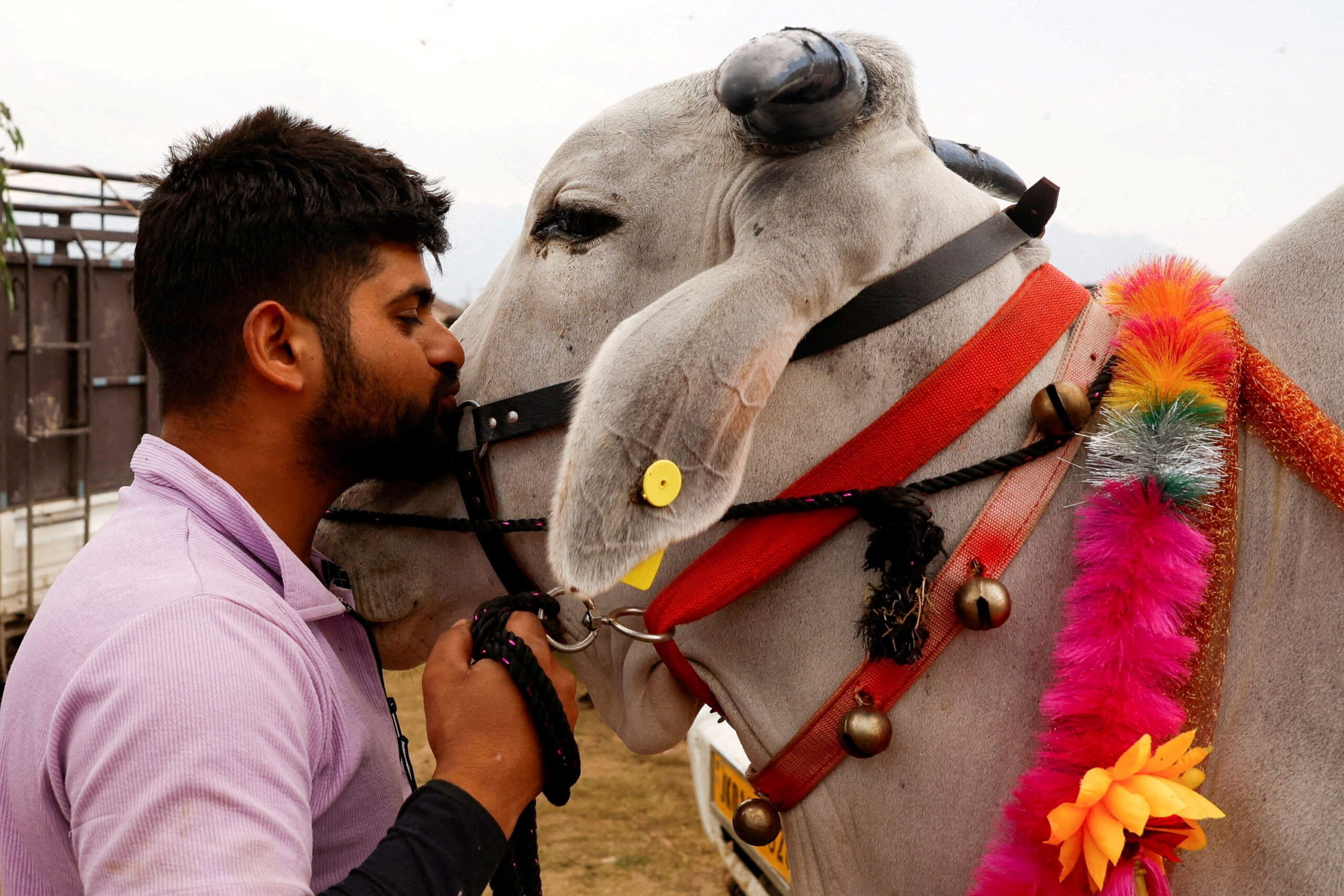 The week in photos: May 23-29, 2026