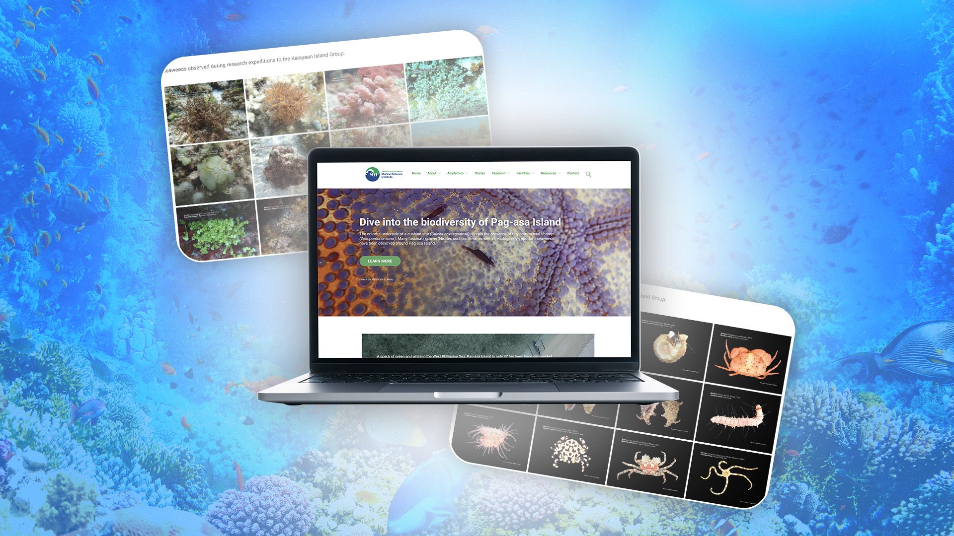 This website lets you see the rich biodiversity of Pag-Asa Island up close