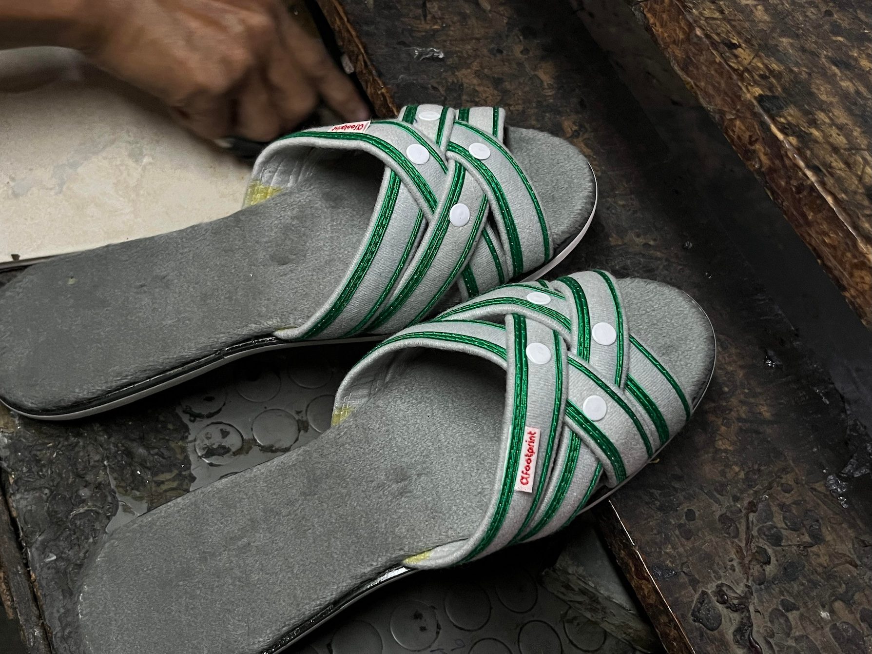Clothing, Footwear, Sandal