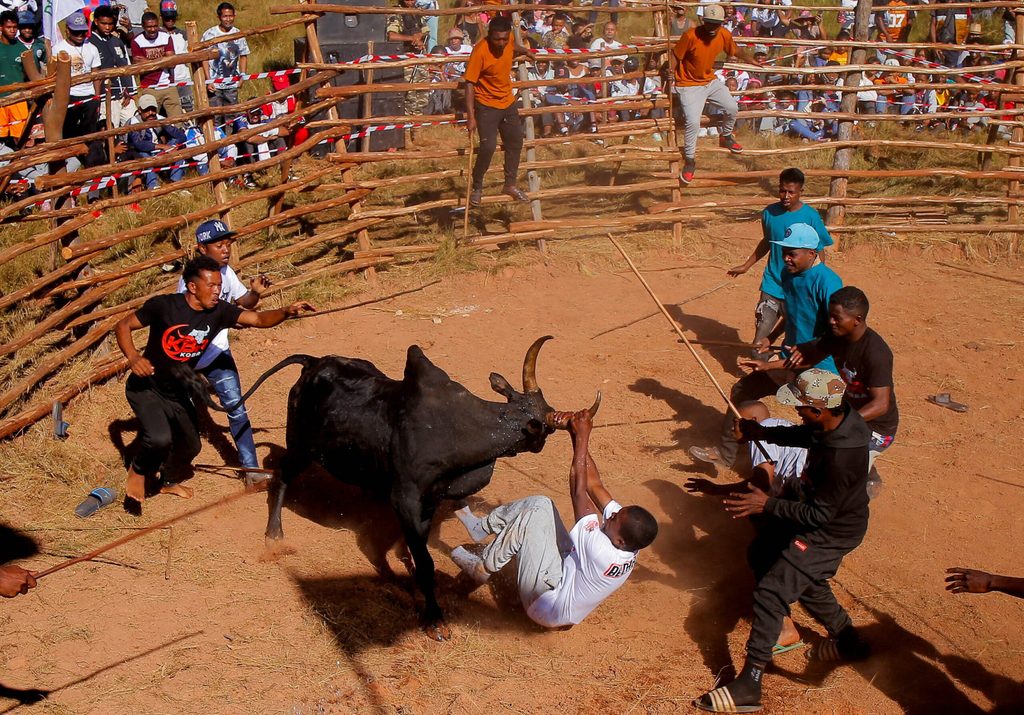 Traditional Savika bull wrestling event in Antananarivo