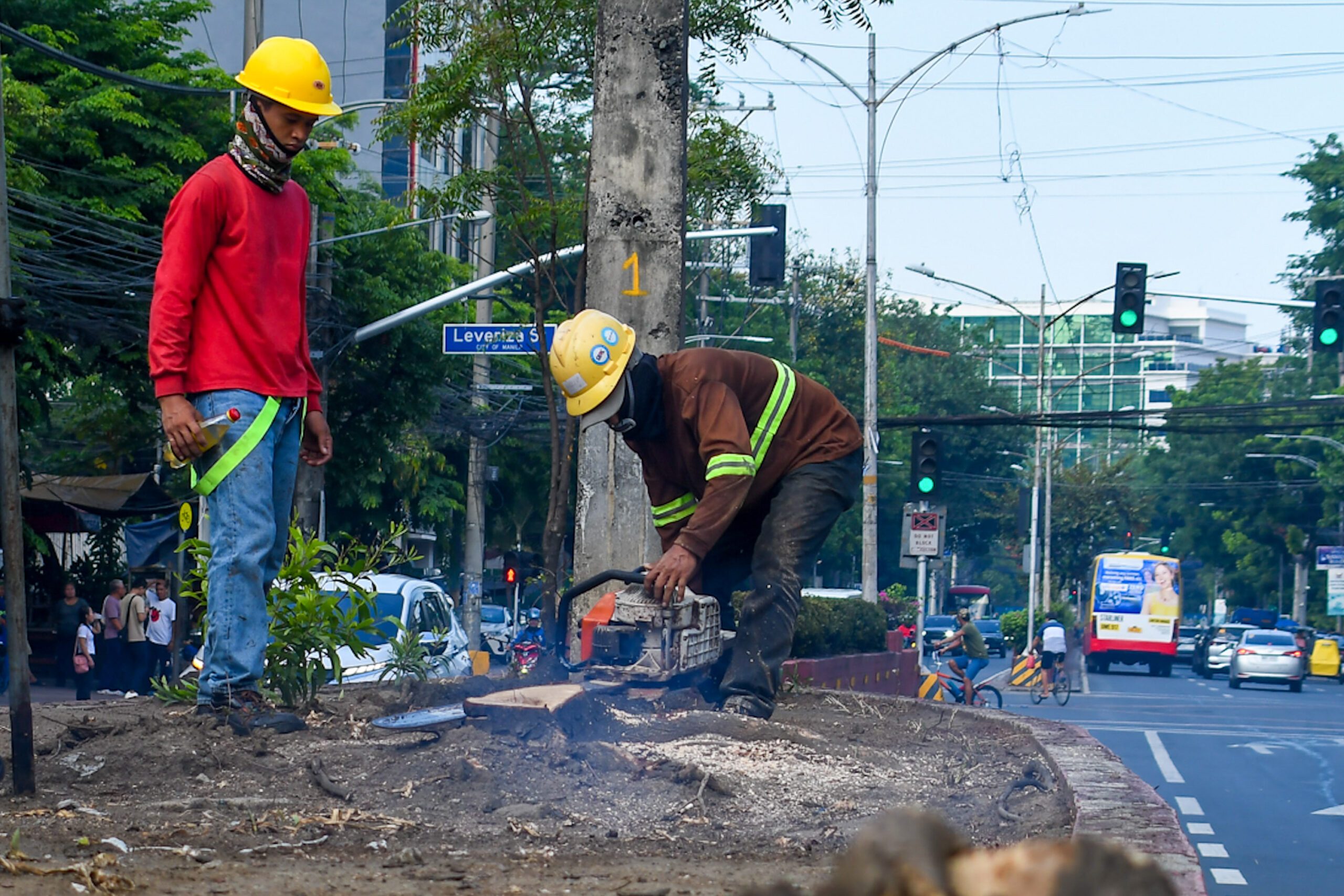 Tree cutting and earth balling for Southern Access Link