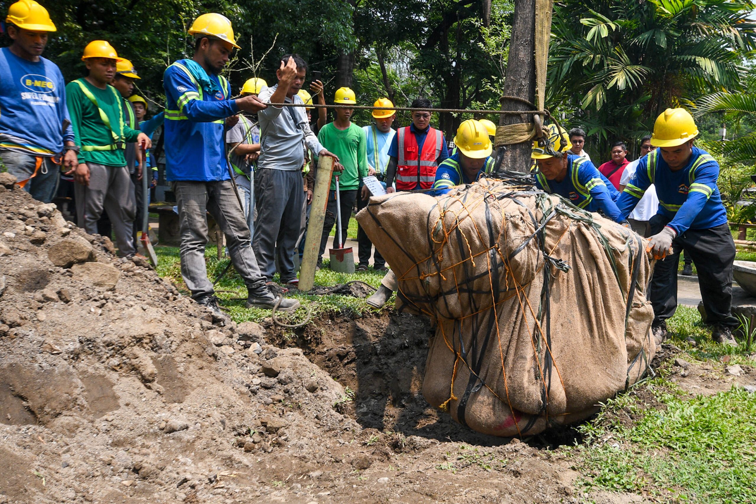 SALEX tree-cutting exempt from protection order, says San Miguel lawyer