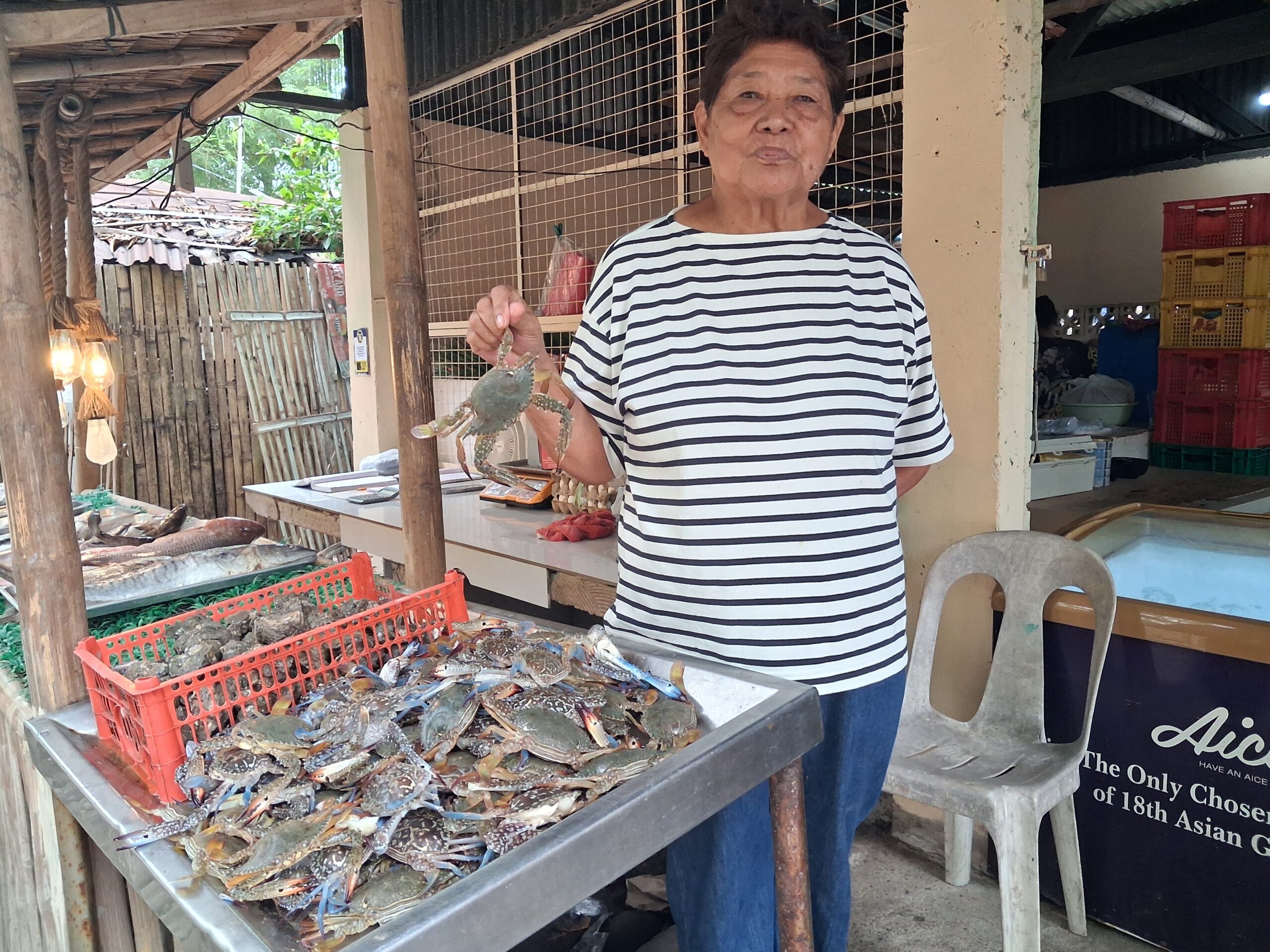 Crabs Negros Occidental