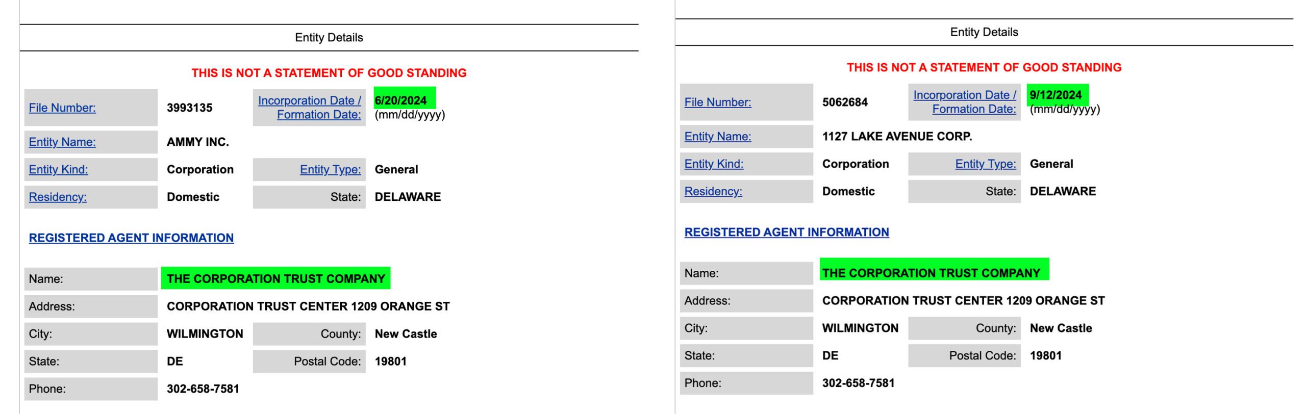 Delaware Entity Details
