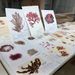 This research museum takes a snapshot of what’s in Philippine waters