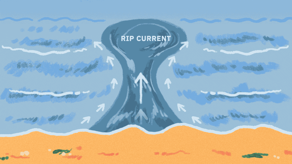 FAST FACTS: What are rip currents and how to survive them?