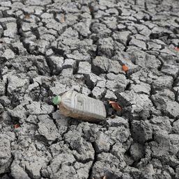 Climate summit calls for stronger action to curb global warming
