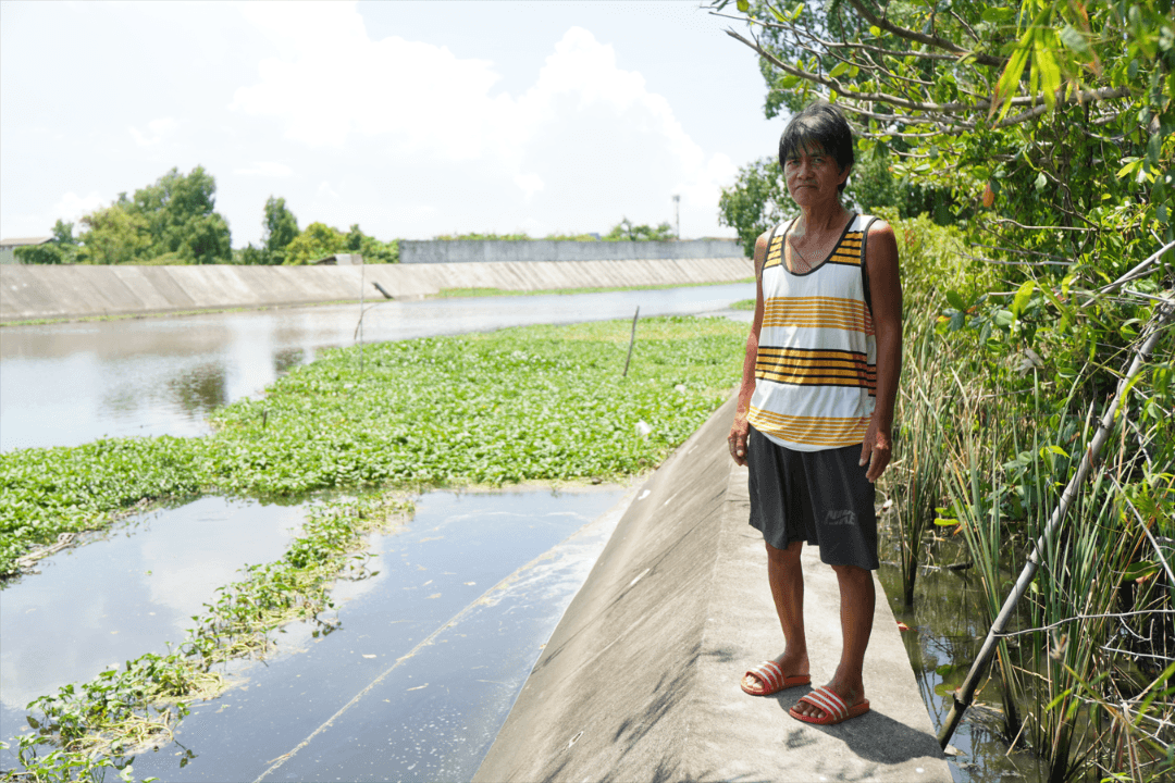 As floodwalls rise along Guiguinto River, kangkong farmers fight to stay afloat