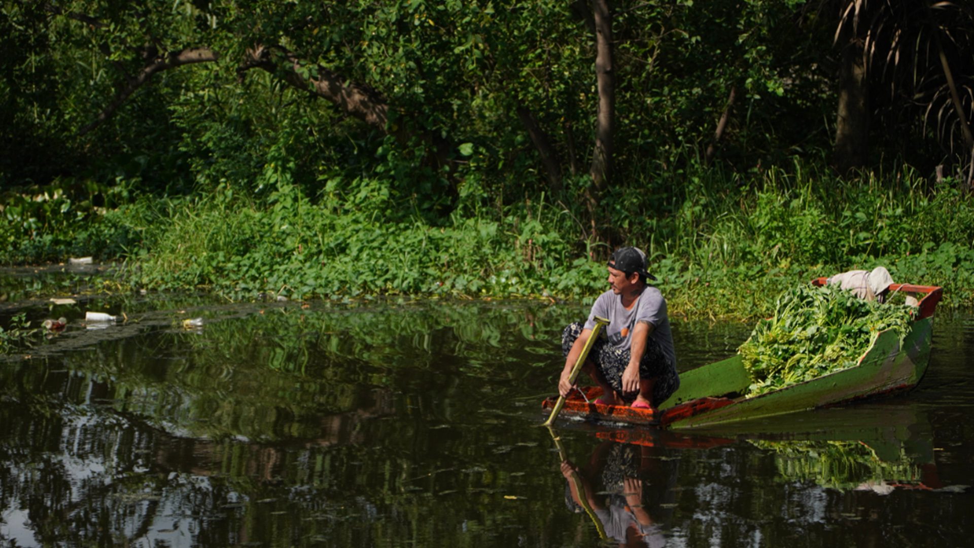 As floodwalls rise along Guiguinto River, kangkong farmers fight to stay afloat