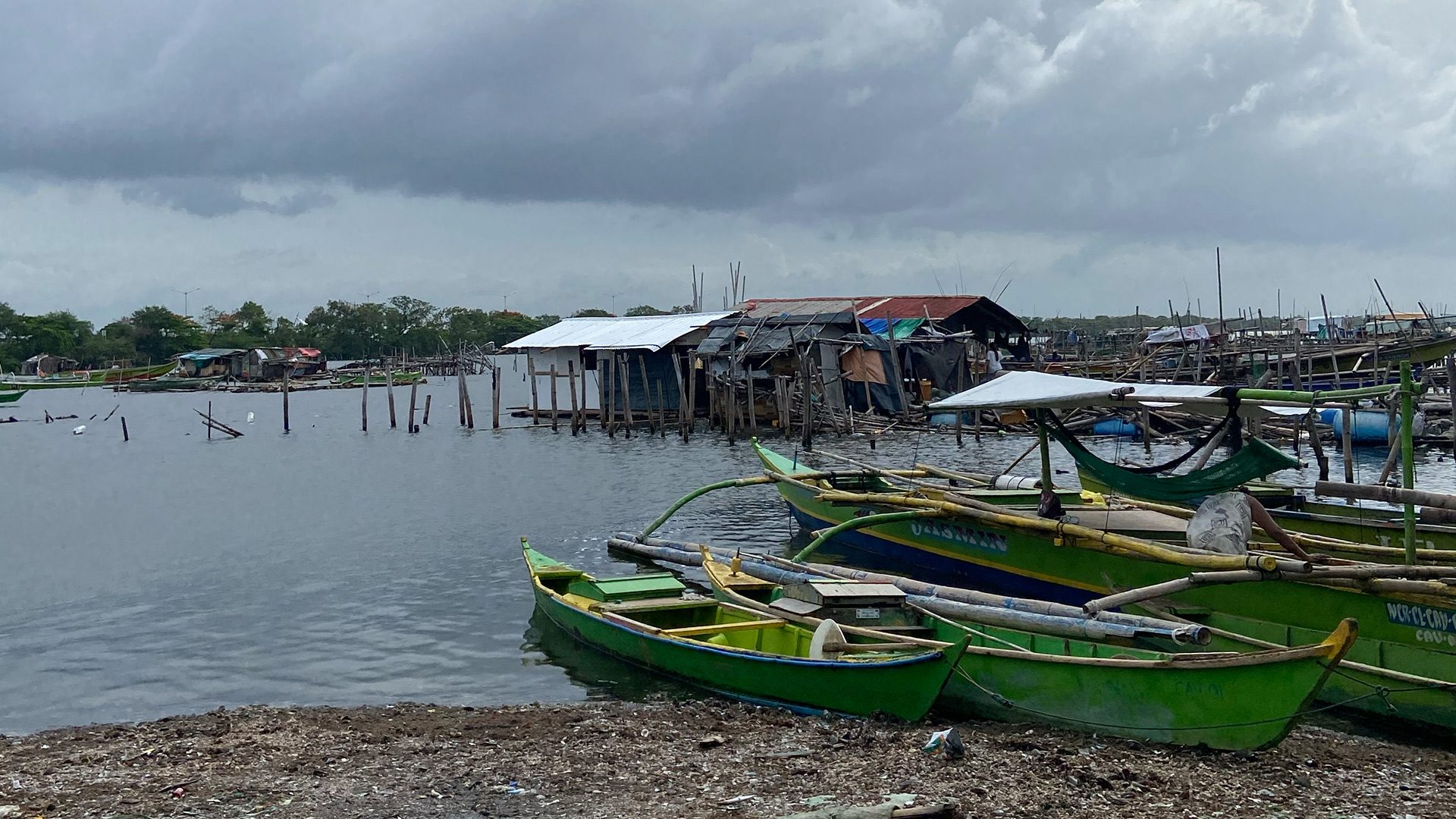 Bacoor's Mussel Harvests Decline as Reclamation Project Reshapes Coastal Waters