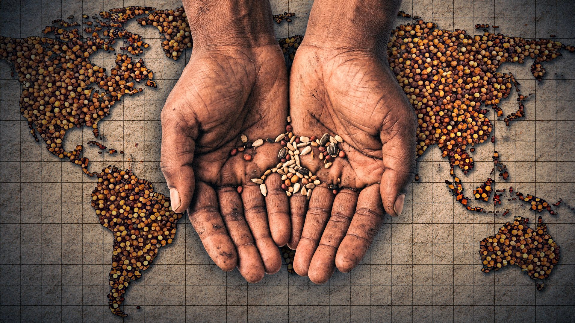 [OPINION] Urgent: Protecting our plant variety 