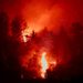 Belgium battles record wildfire as severe blazes spread across Europe