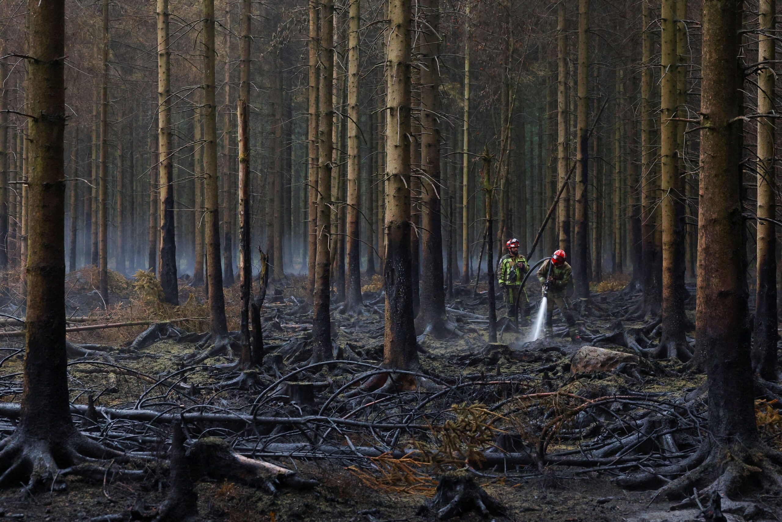 Wildfire in Belgium