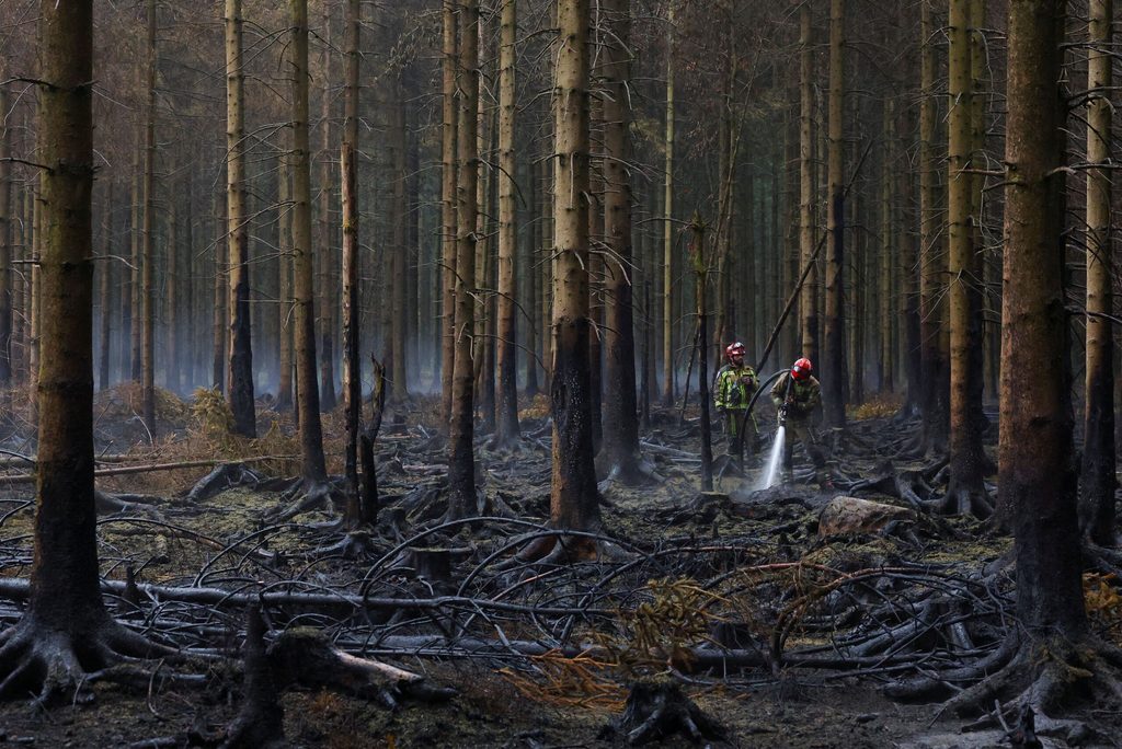 Wildfire in Belgium