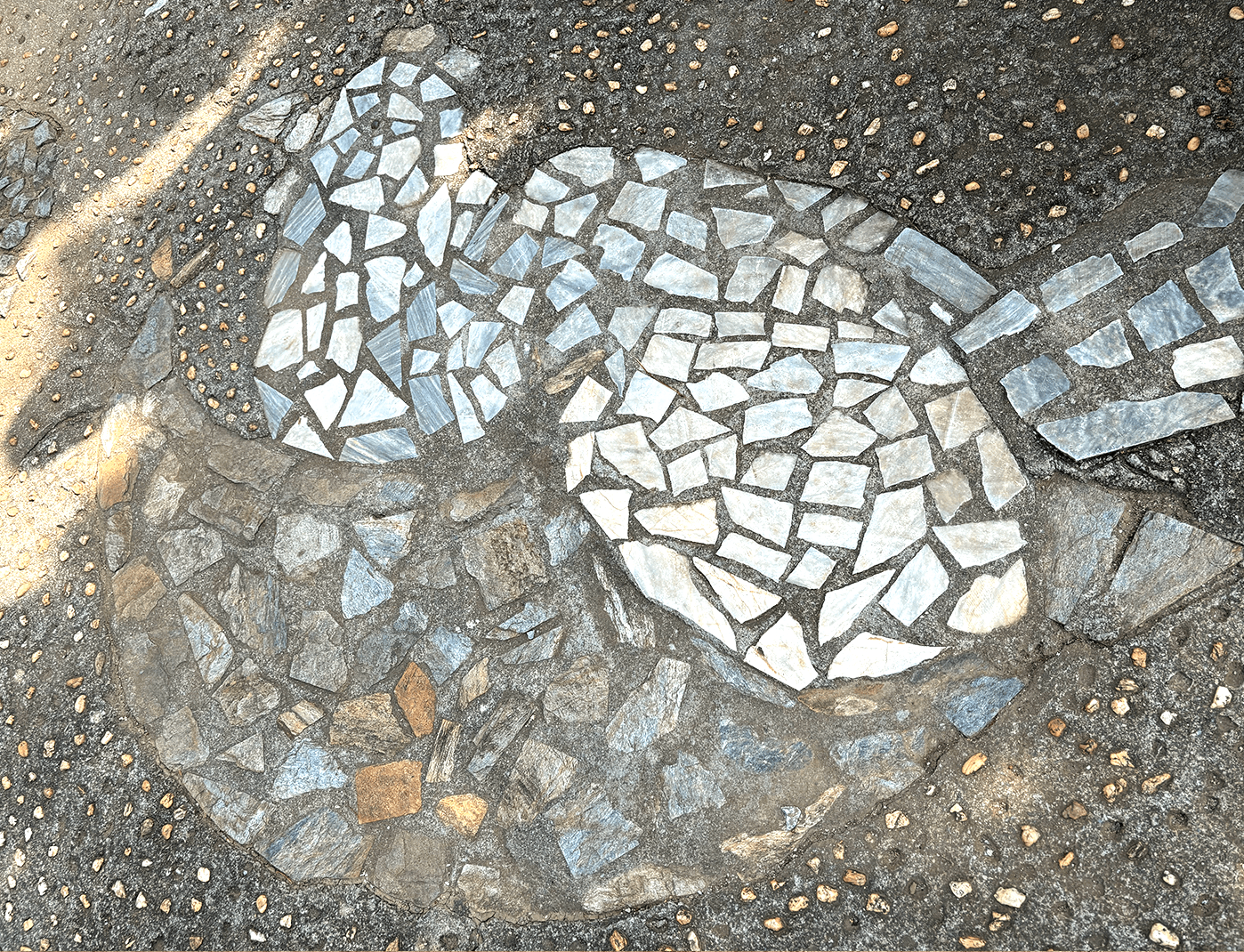 Dublon Mosaic