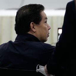 Romualdez files bail petition in P7.44-B plunder case