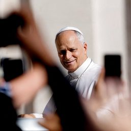 For Pope Leo, the risk of an AI apocalypse is a major concern