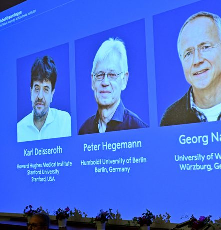 German and US scientists win Nobel medicine prize for work on optogenetics