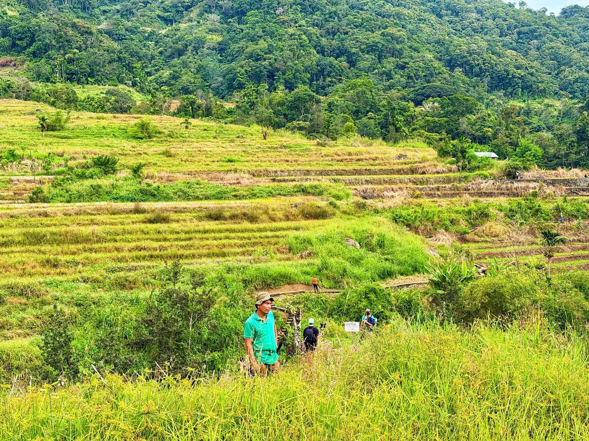 When the Ifugao rice terraces rest