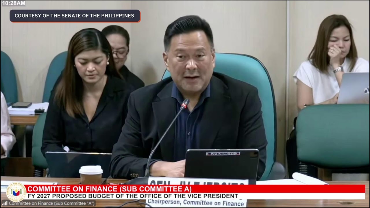Senate panel approves proposed 2027 OVP budget in under 20 minutes
