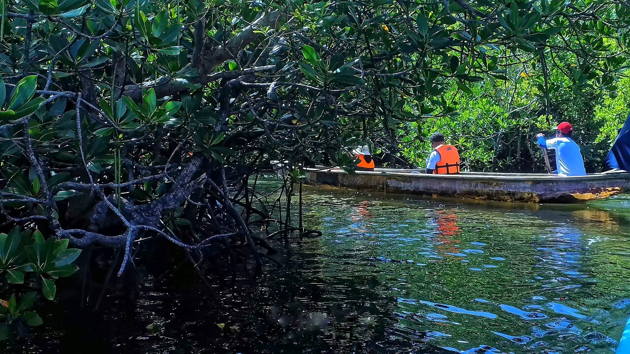 Danggit, mangroves tell story of coastal recovery in Prieto Diaz, Sorsogon