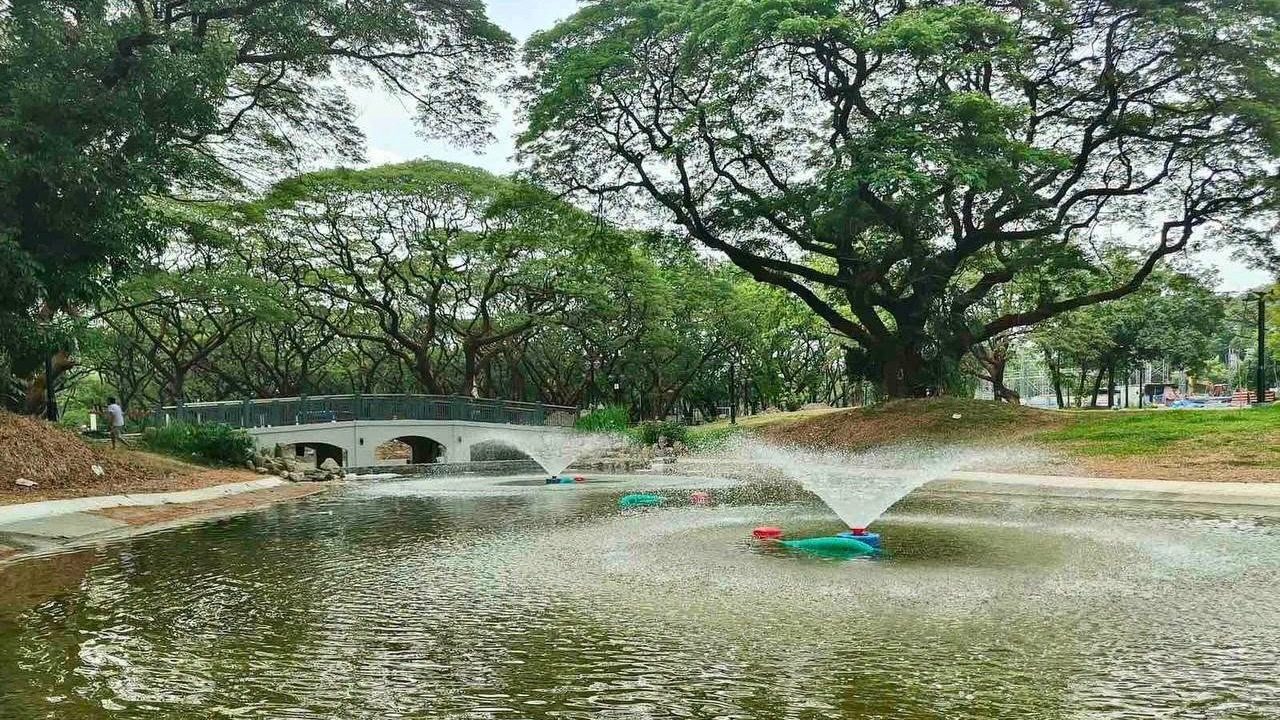 El Niño-ready? These infrastructures in Quezon City collect rainwater - Rappler