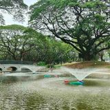 El Niño-ready? These infrastructures in Quezon City collect rainwater