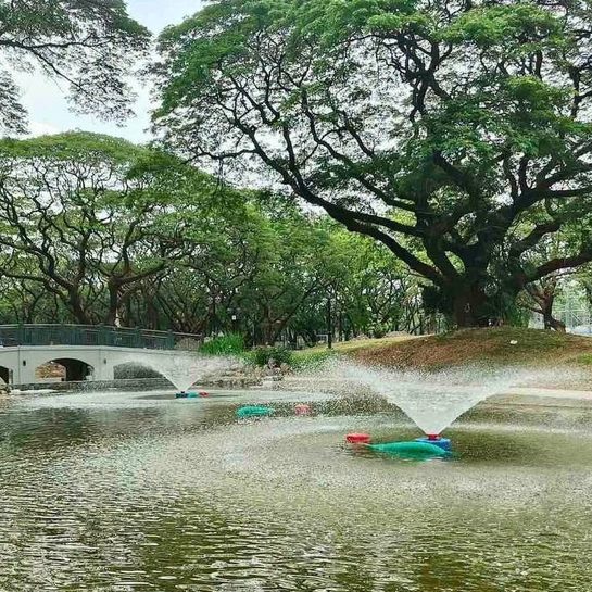 El Niño-ready? These infrastructures in Quezon City collect rainwater