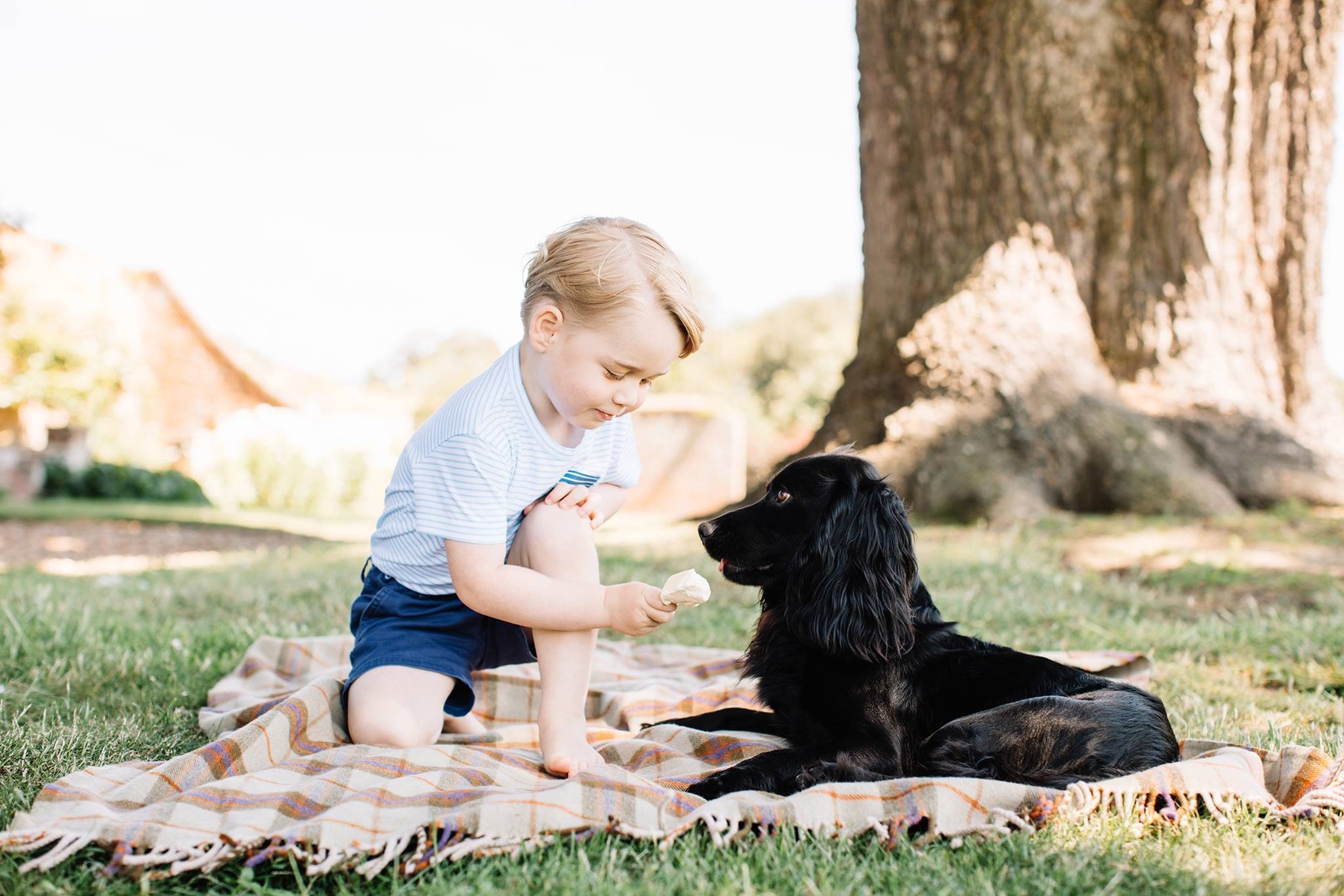 Piknik bersama Lupo, anjing keluarga. Foto oleh Facebook The Royal Family/Matt Porteous  