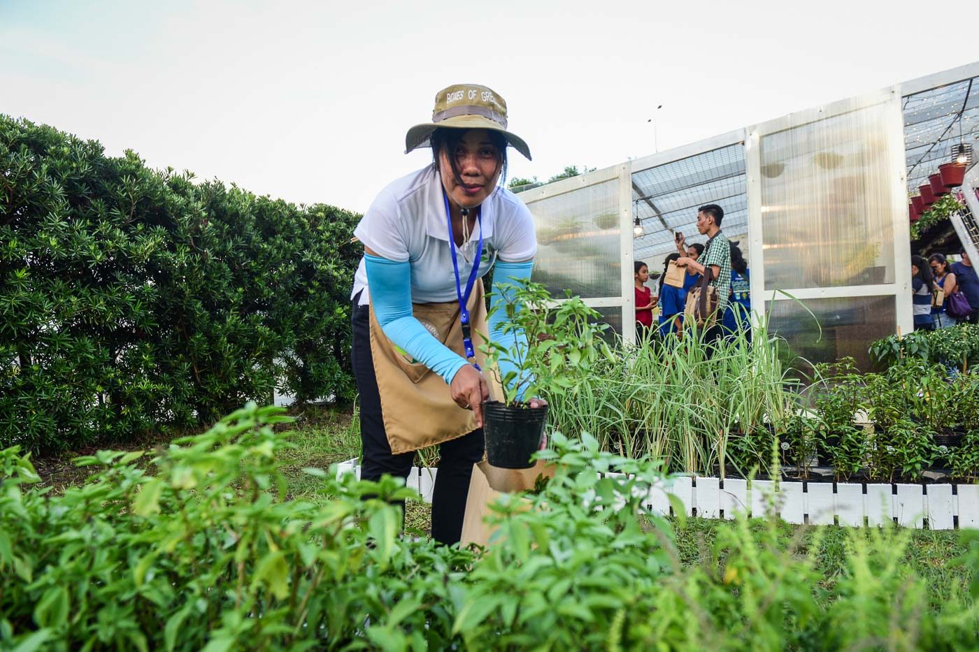 Freshly-picked greens from the in-mall garden. Photo by LeAnne Jazul/Rappler 
