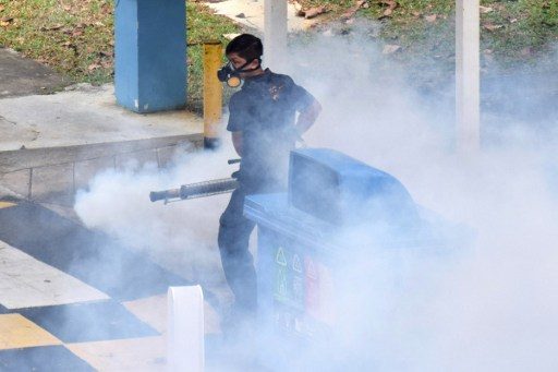 Singapore reports 41 locally transmitted Zika cases