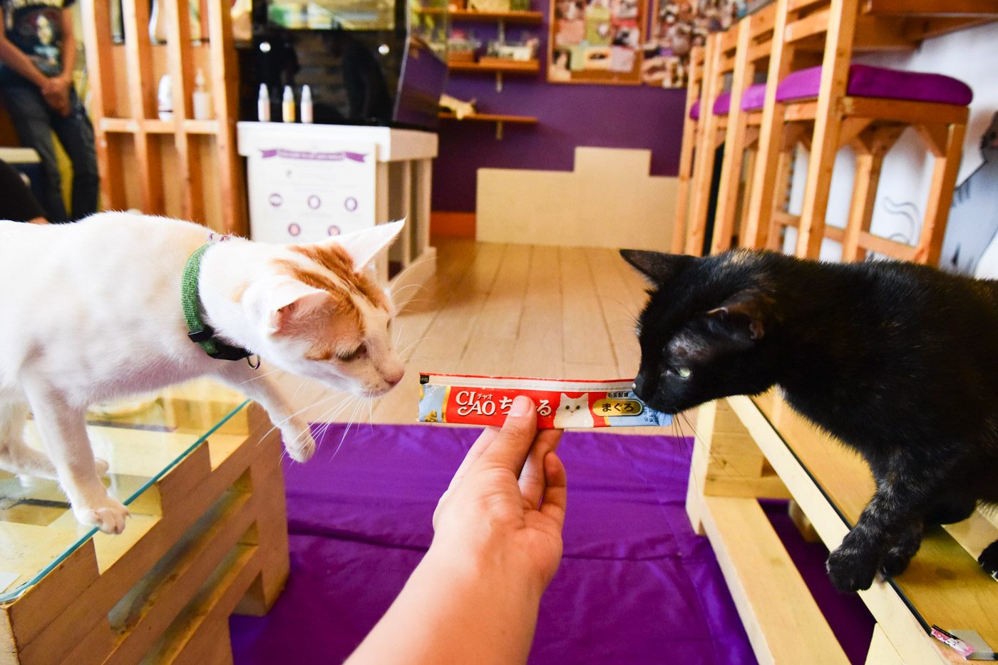 TREATS. The café also sells treats that guests can give to the resident cats. They say you can’t buy love, but Chaka and Scarlet beg to disagree.
 
