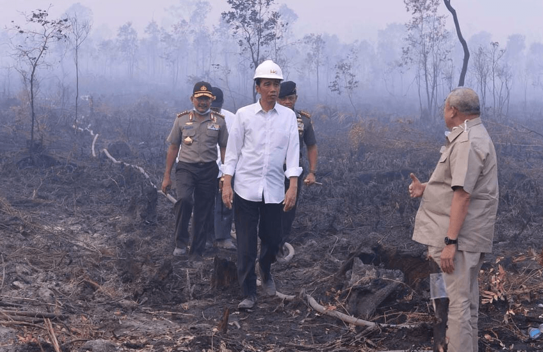 FOTO: Jokowi blusukan asap, minta tindak tegas pembakar hutan