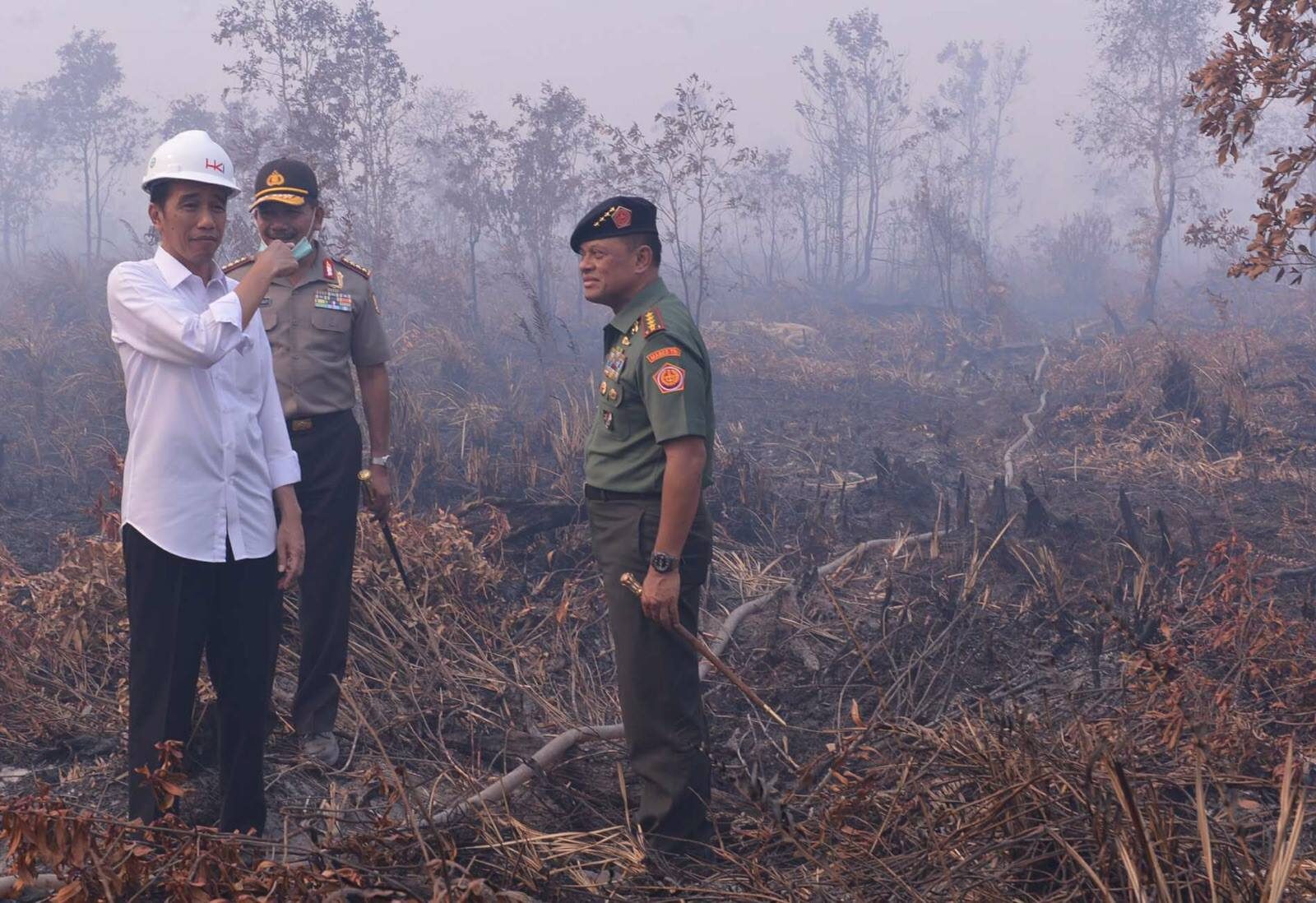 Jokowi akan meninjau lahan gambut di Palangkaraya