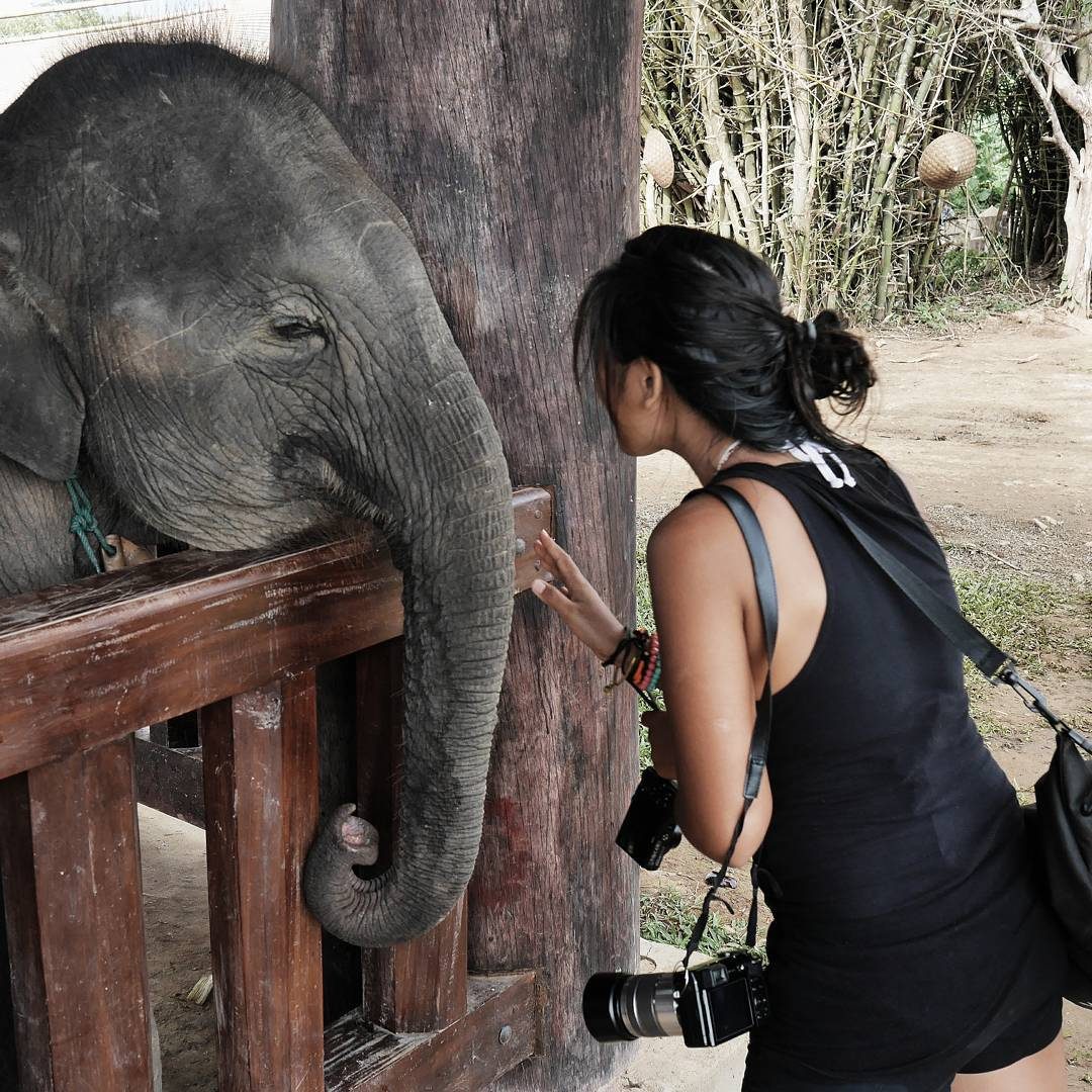 Moy-moy, a two-year-old elephant somewhere in Laos. Photo provided by Jona Branzuela Bering 