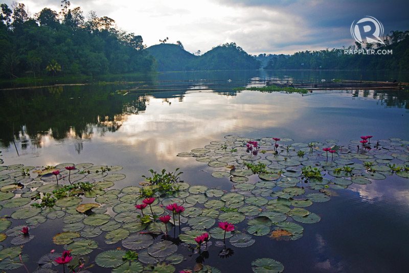 LOTUS LAKE. Lake Sebu is made more beautiful and colorful with its plentiful lotuses. Photo by Miles Dedace