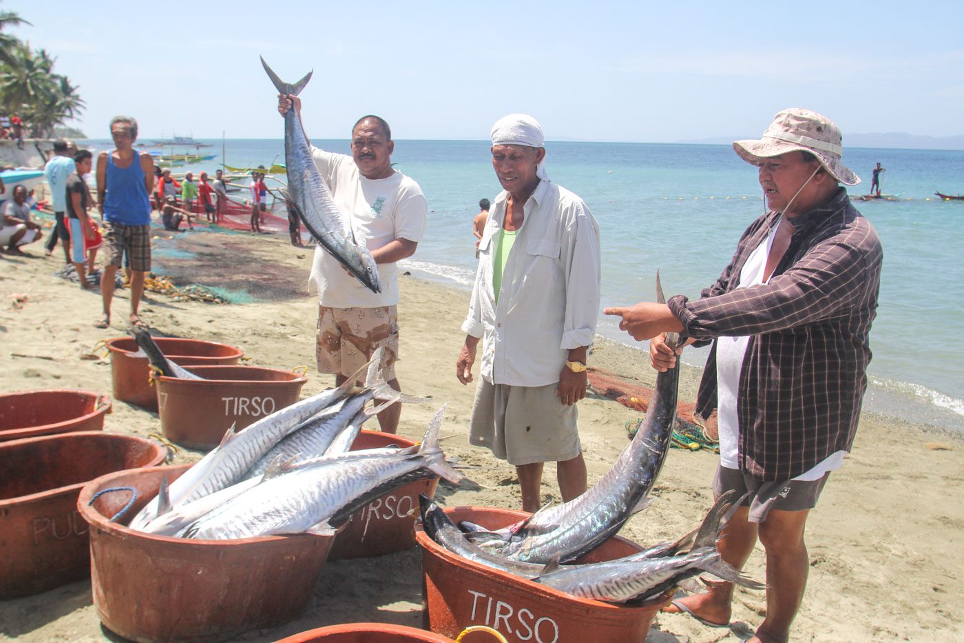 Albay coastal village reaps rewards of campaign vs illegal fishing