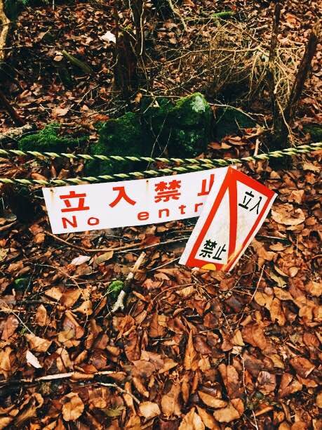 No entry sign at the forbidden track in Aokigahara forest 