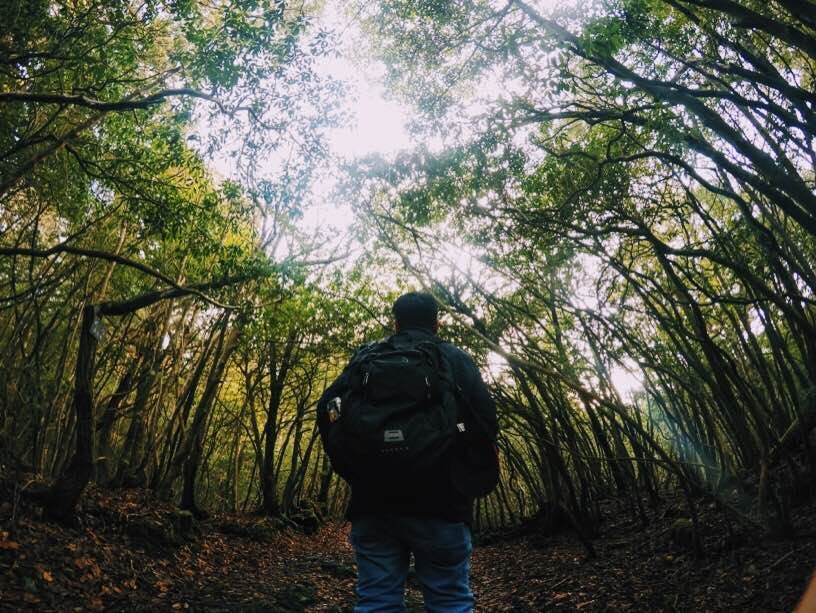 Perjalanan meresahkan ke Aokigahara, ‘Hutan Bunuh Diri’ di Jepang