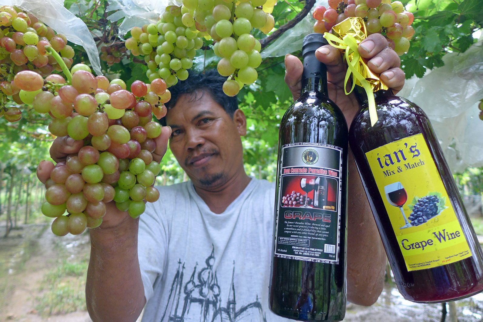 FRUITS OF LABOR. Grape farmer Sonny  Bauang, shows his fresh grapes and local wines produced from them. Photo by Mau Victa 