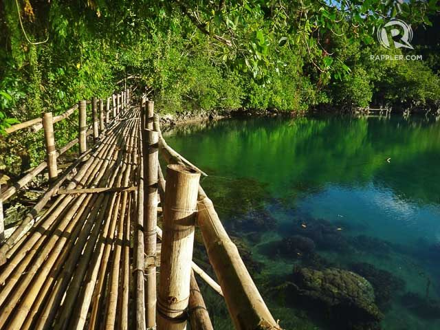 STILLNESS AND MUSIC. Danjugan’s lagoons, like Third Lagoon here, have waters so still and clear you can see corals and other marine life. On this bamboo bridge you can also hear the call of both birds and bats 