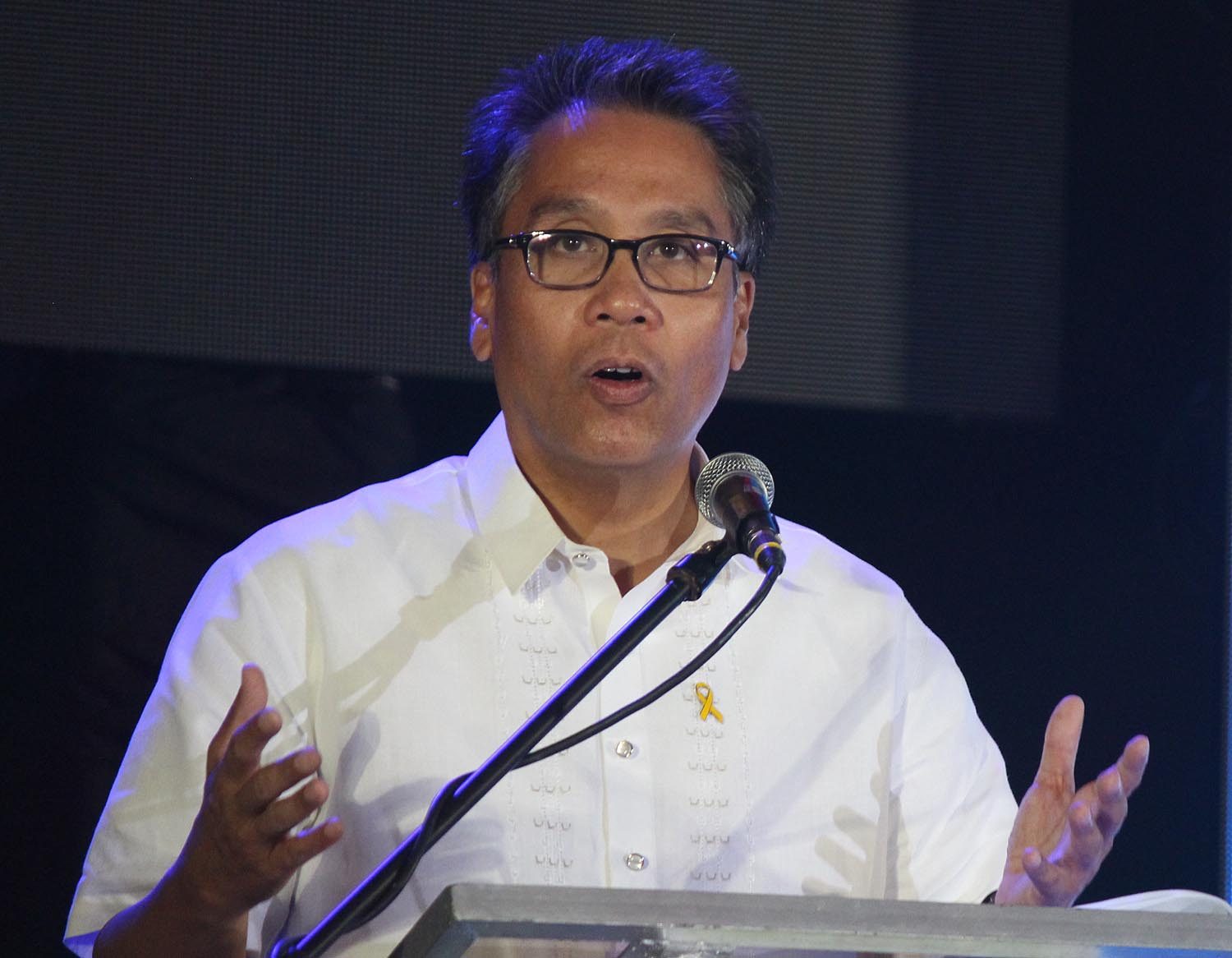 Roxas on lower taxes: But what programs will suffer?