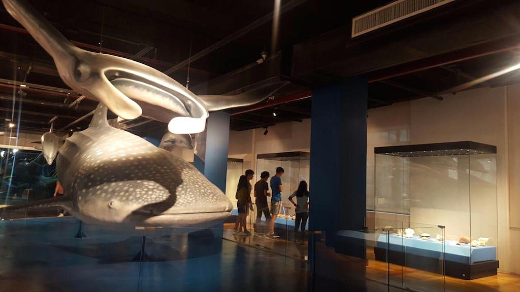 GENTLE GIANTS. Figures of a manta ray and a whale shark at the center of the Marine Life exhibit. Photo by Amanda Lago/Rappler 