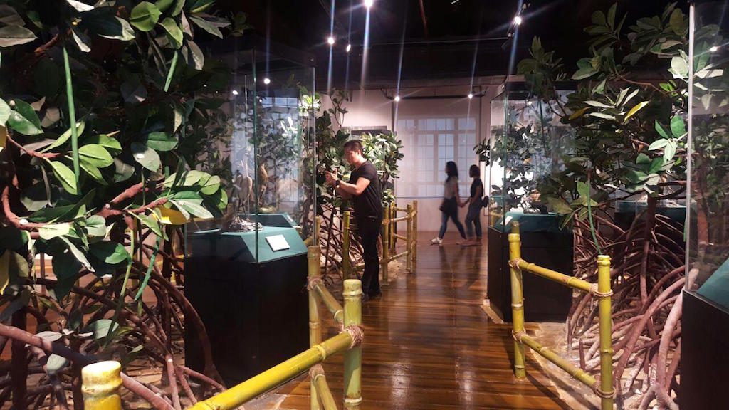 TREES ON DISPLAY. A small recreation of a mangrove forest also includes wildlife that have made mangroves their natural habitat. Photo by Amanda Lago/Rappler 