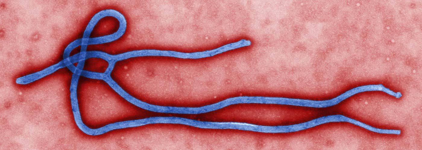 Guinea Ebola death toll rises above 200