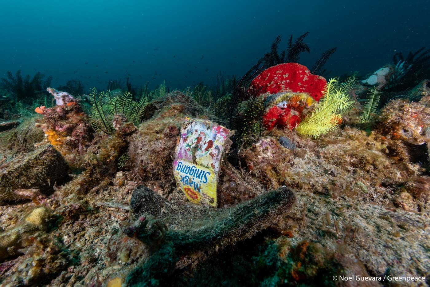 PLASTIC IN THE SEA. Even sachets of food seasoning can be found along the Verde Island Passage on March 7, 2019. Photo by Noel Guevara/Greenpeace  
